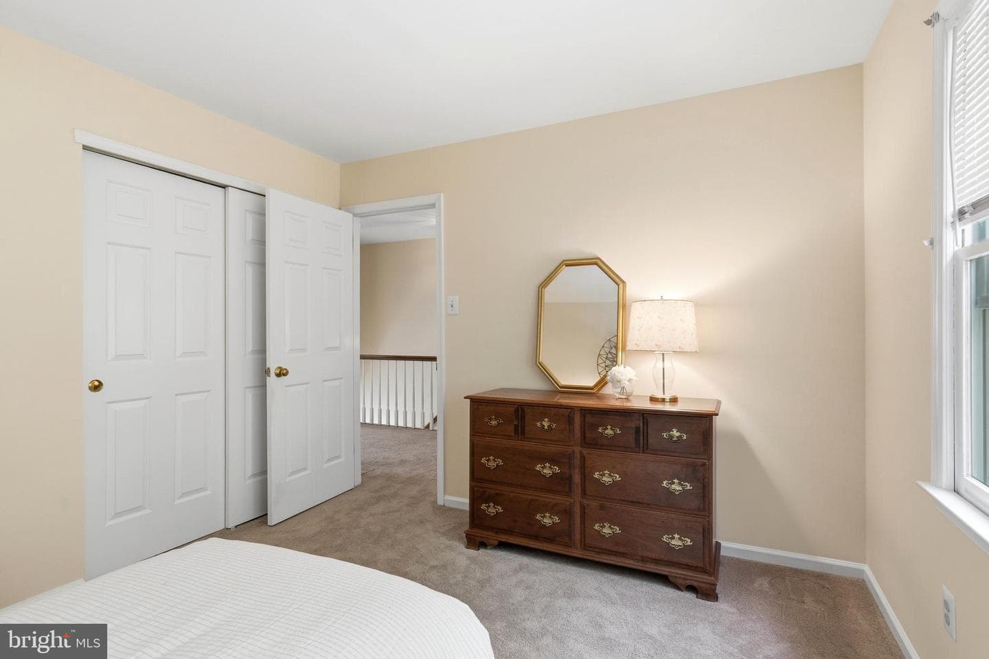 51 Snapdragon Drive photo 25