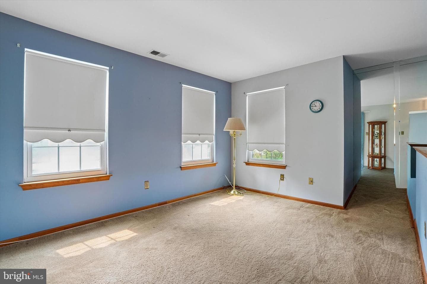 462 Redbud Court photo 4