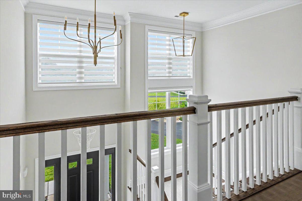 9 Foxtail Lane photo 31