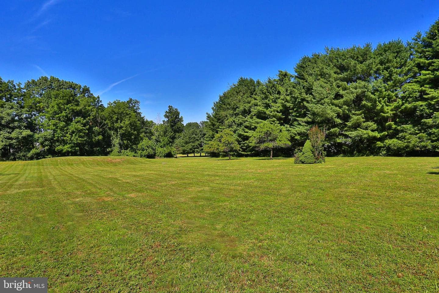 2050 Miller Road photo 38
