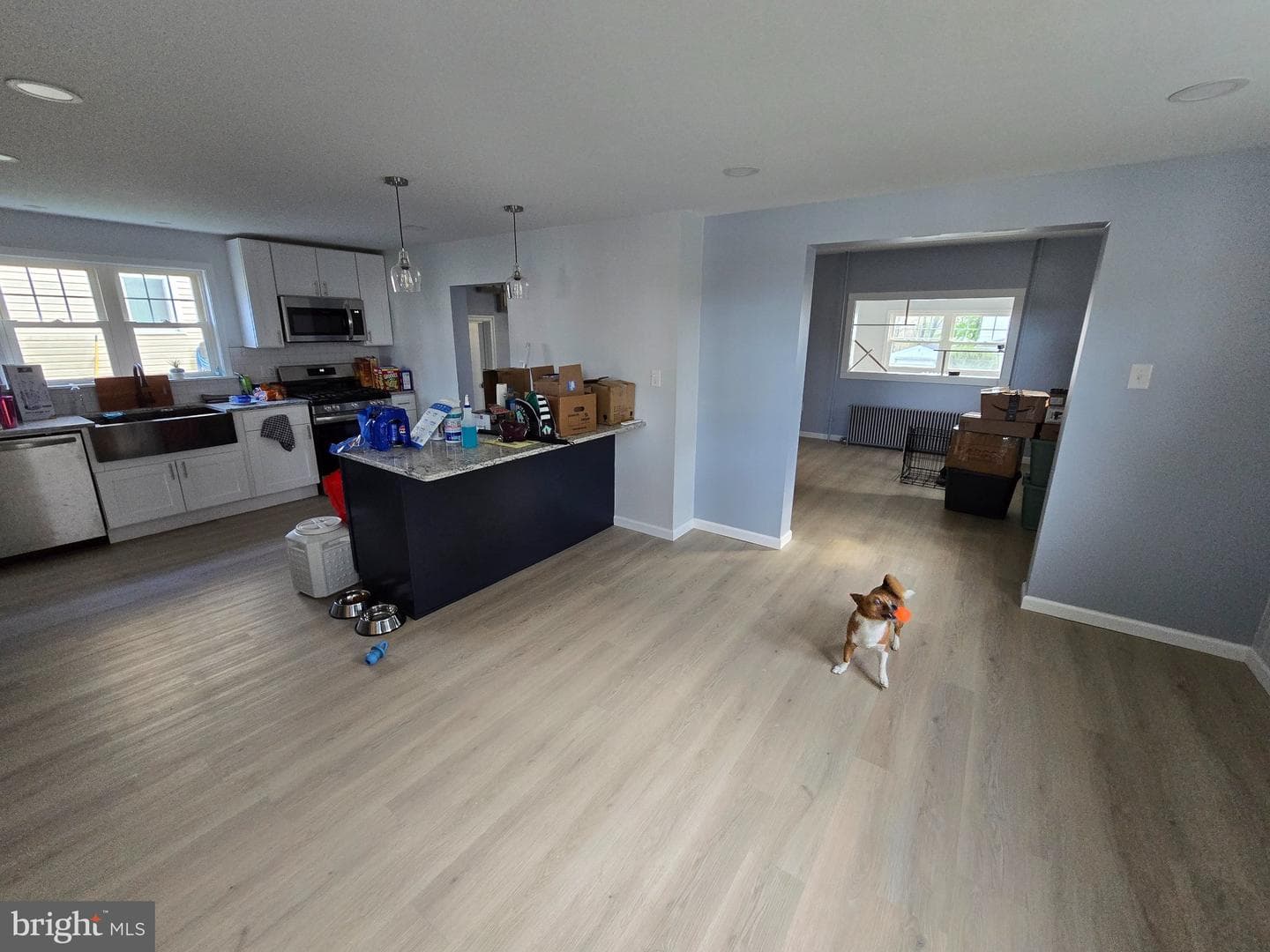 233 Columbus Avenue photo 15
