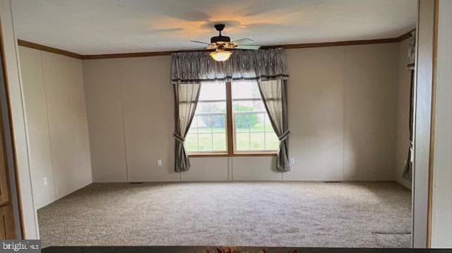 127 Rustic Drive photo 8