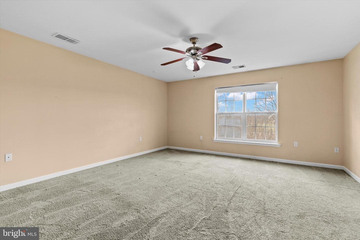 207 Brook Meadow Drive photo 24