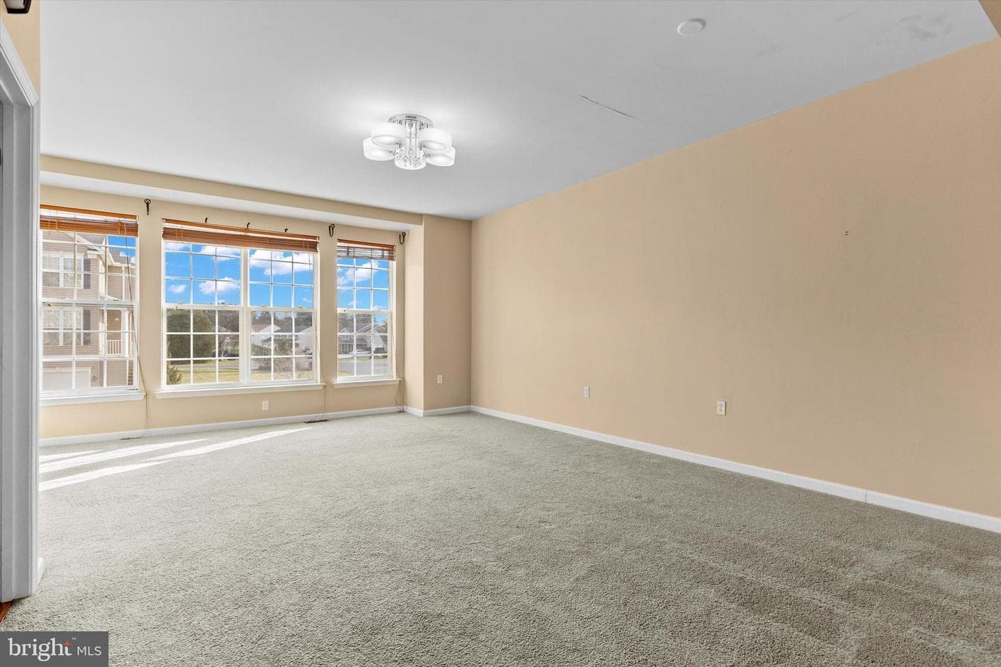 207 Brook Meadow Drive photo 6