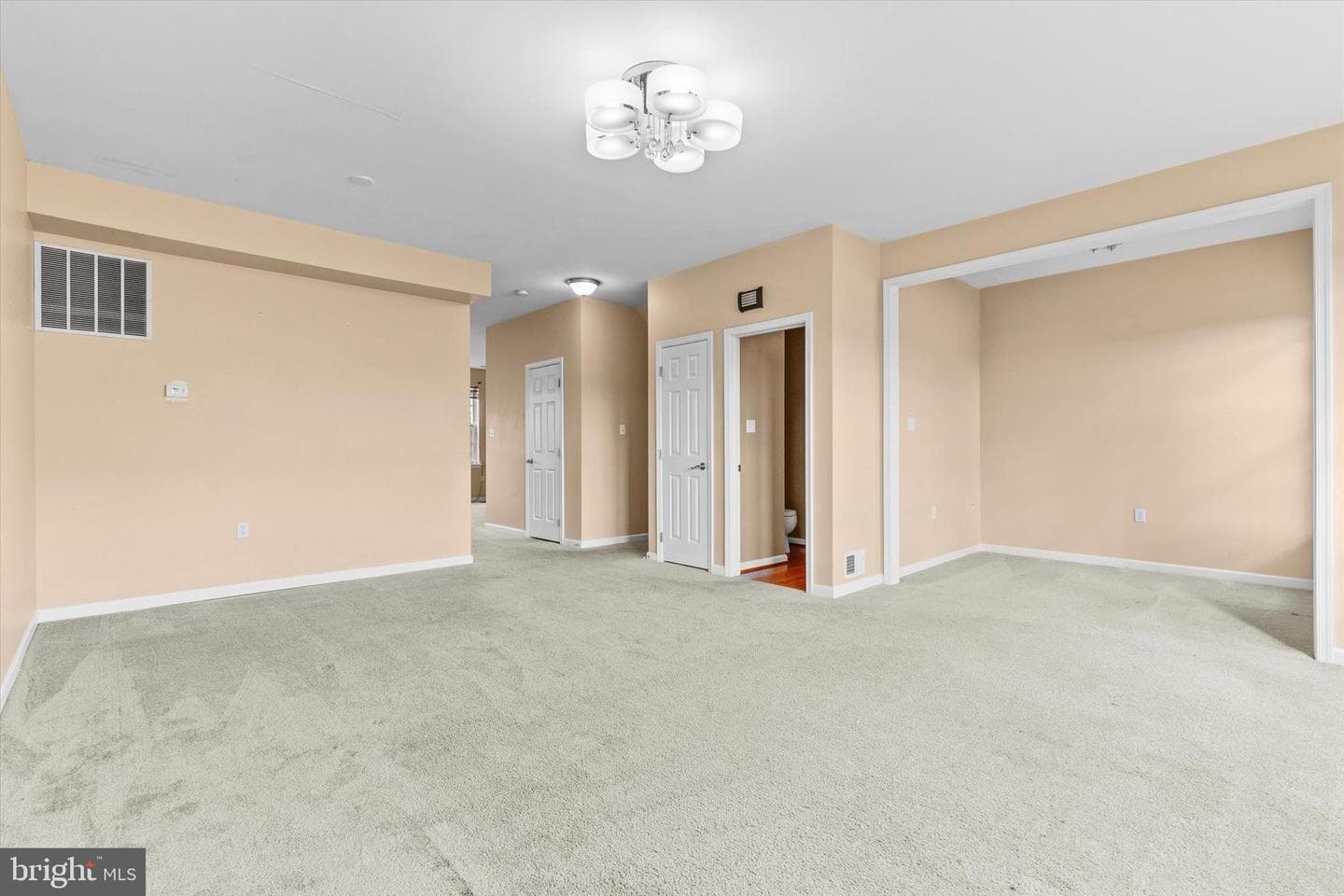 207 Brook Meadow Drive photo 8