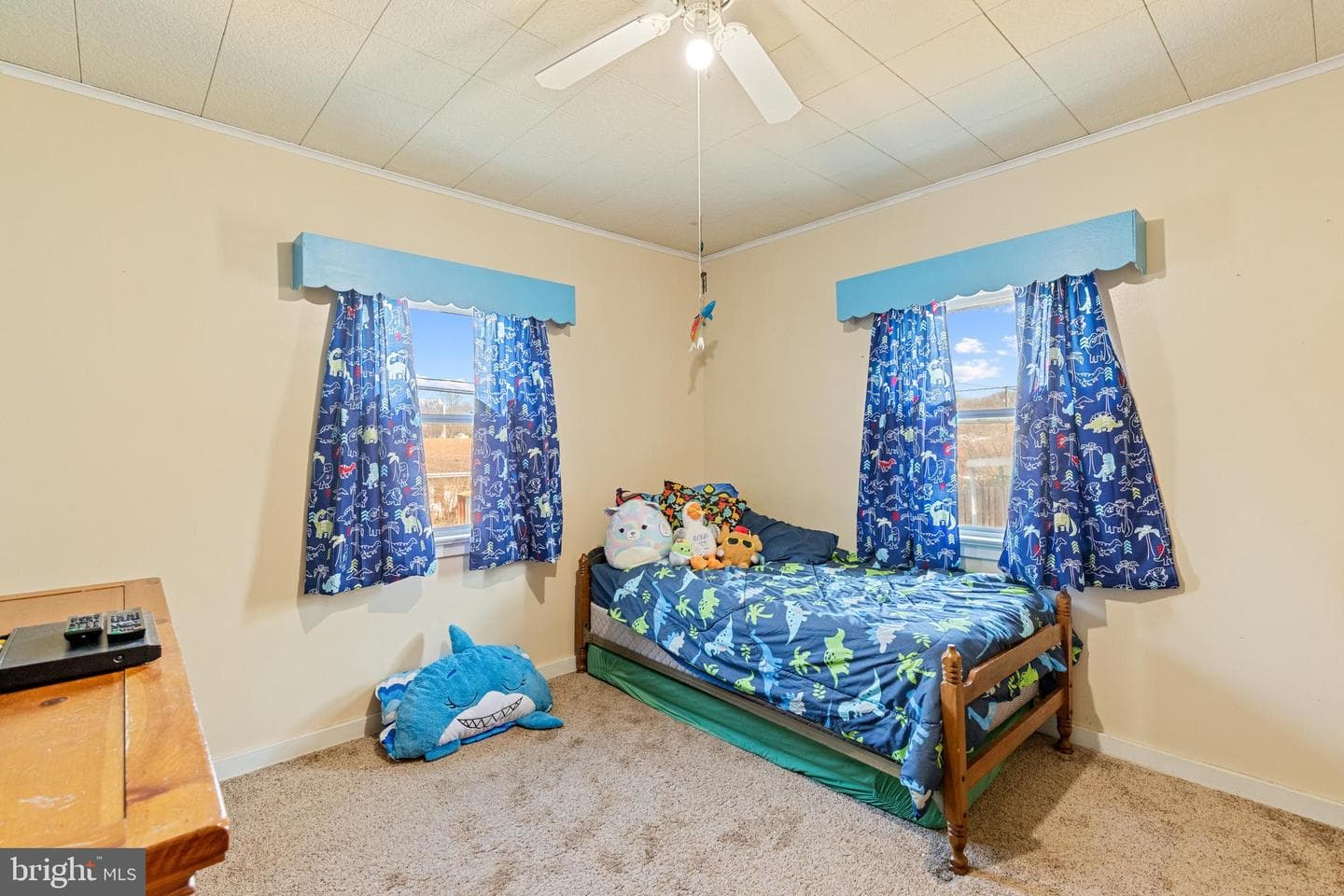 1106 Allen Street photo 22