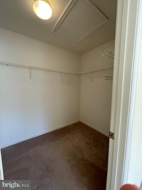 4106 Caissons Court photo 20