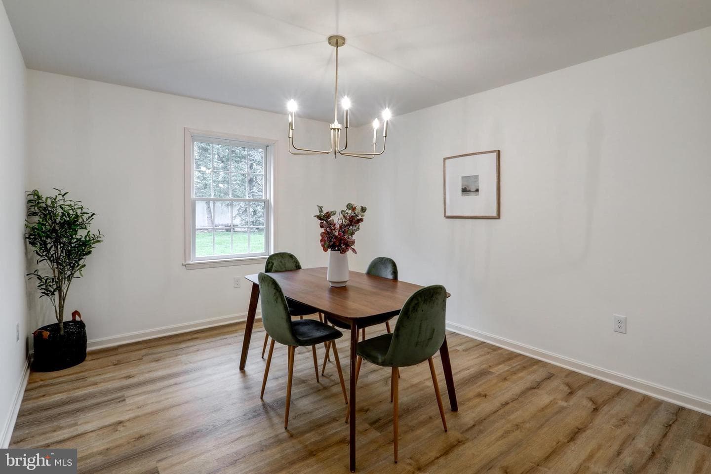 520 Boxwood Lane photo 4