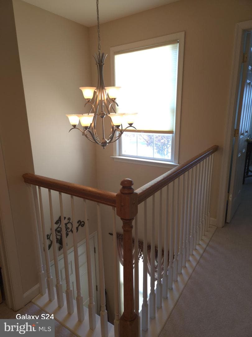 5150 Mendenhall Drive photo 21