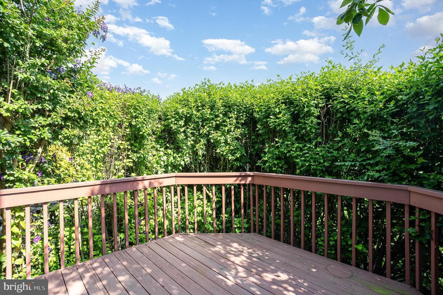 1455 Maplewood Drive photo 15