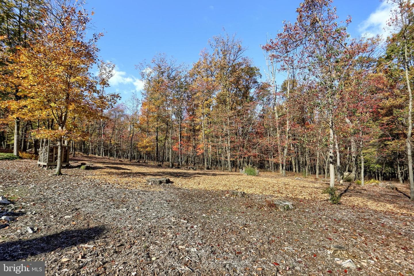 1226 Blossom Terrace photo 6