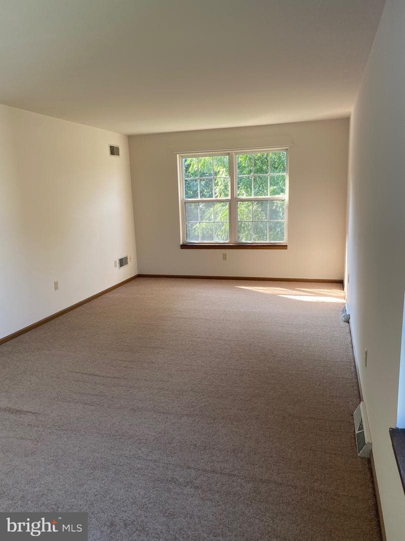 1002 Rebecca Street photo 5