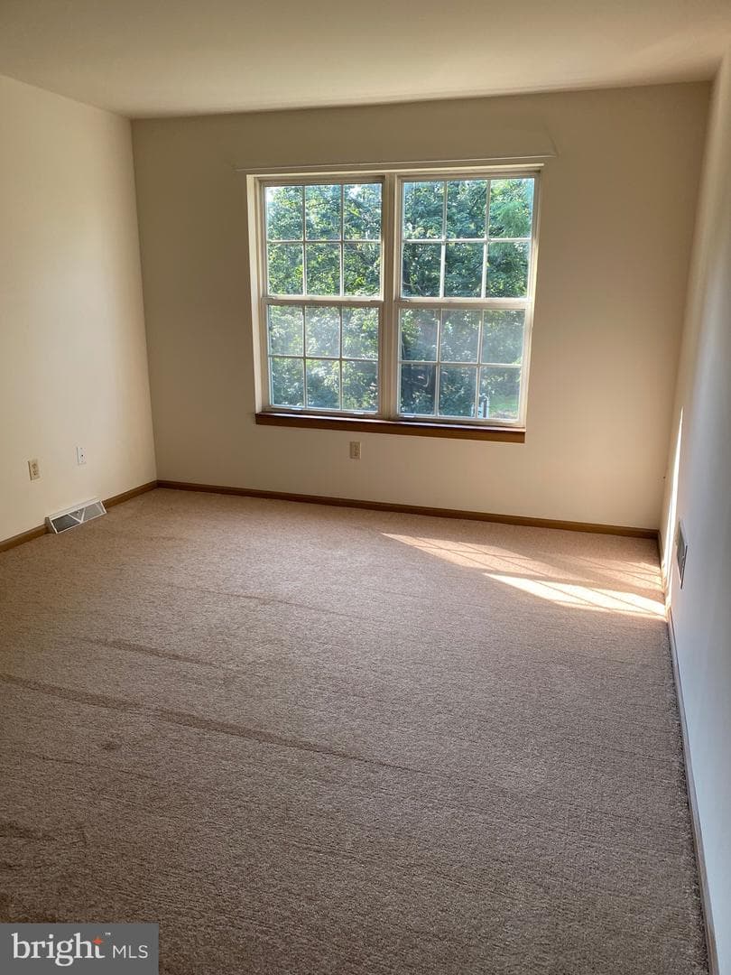 1002 Rebecca Street photo 6