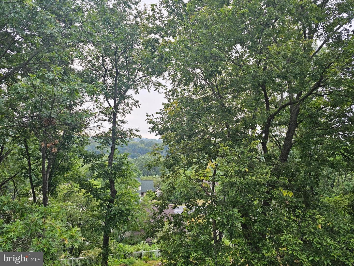 31 Charisma Drive photo 18