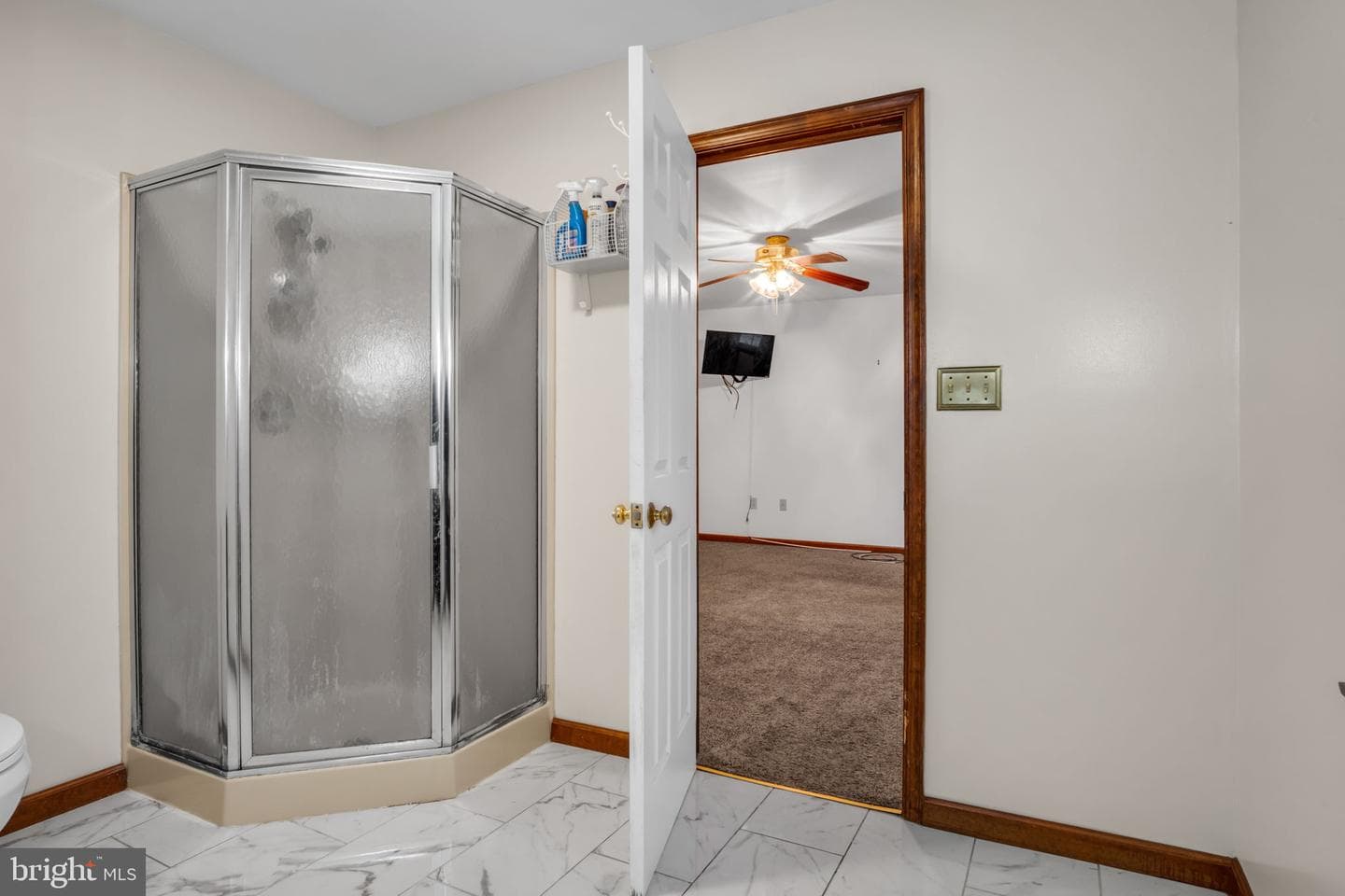 11 Laurel Oak photo 30