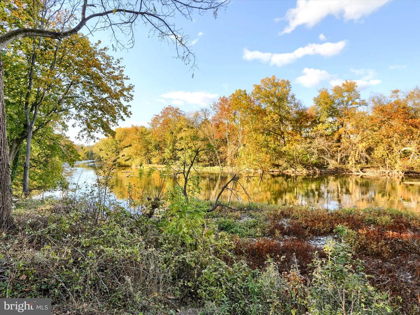 1007 Brentwater Road photo 29