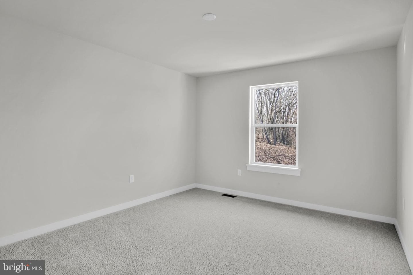 1020 Blackstone Run photo 12