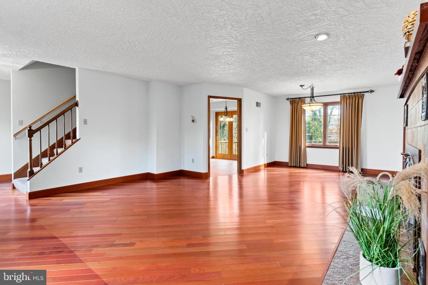 255 Hickory Road photo 6
