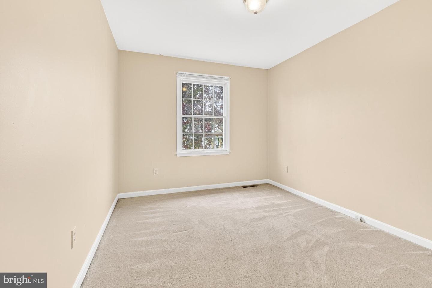 507 David Drive photo 26