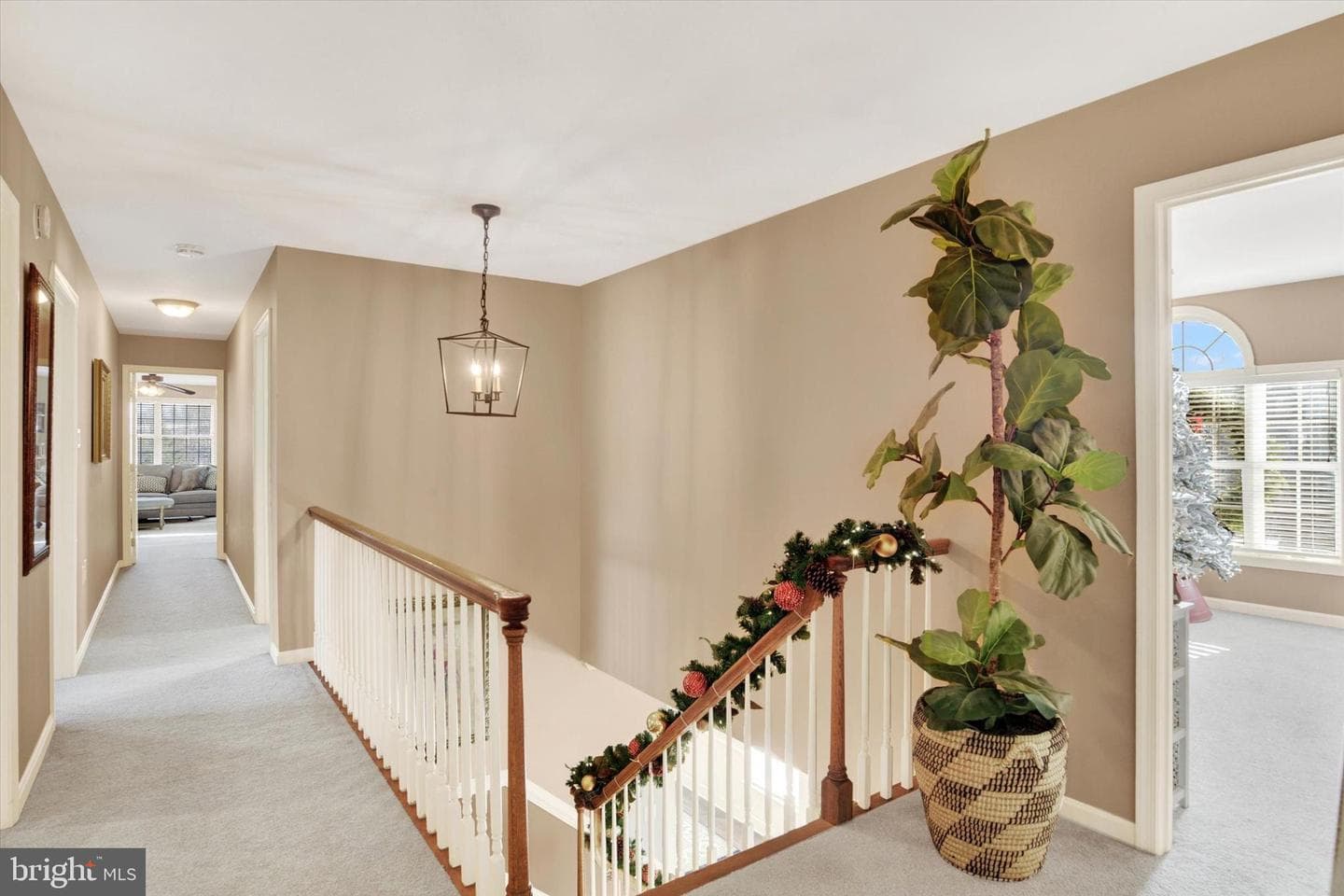 1803 Silver Pine Circle photo 32