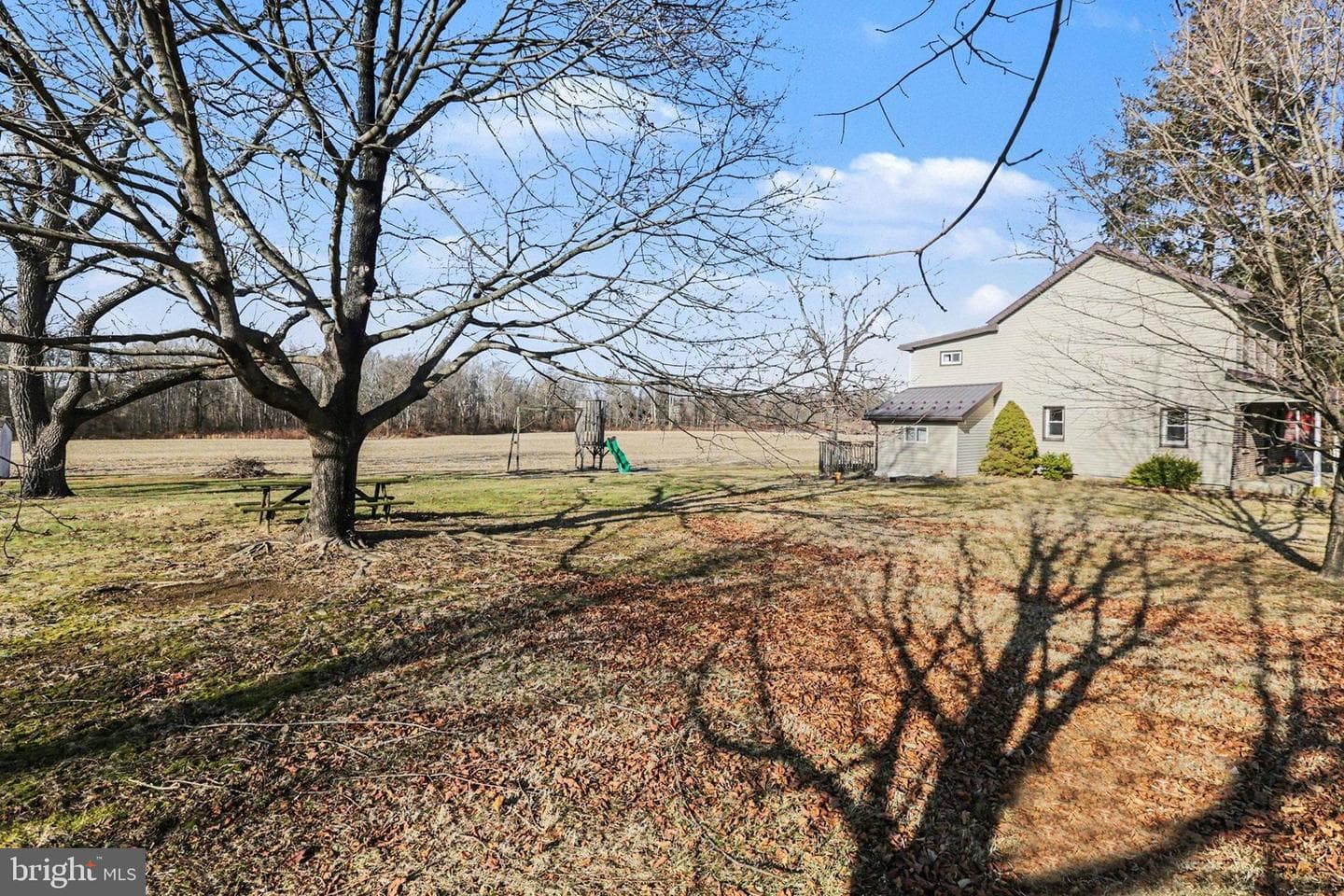 1207 Pine Road photo 3