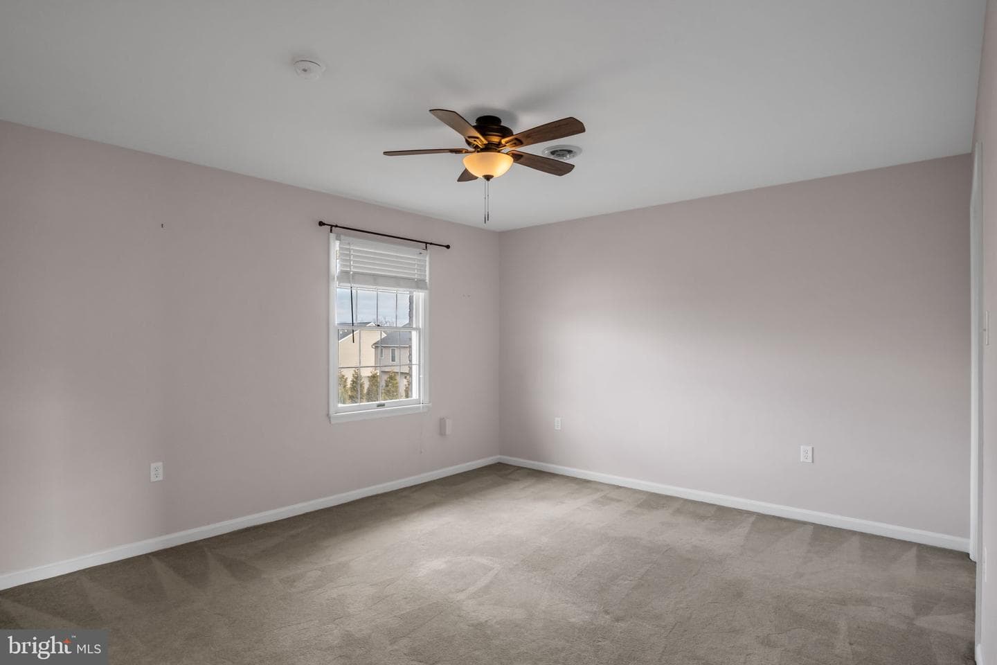 31 Carter Place photo 21