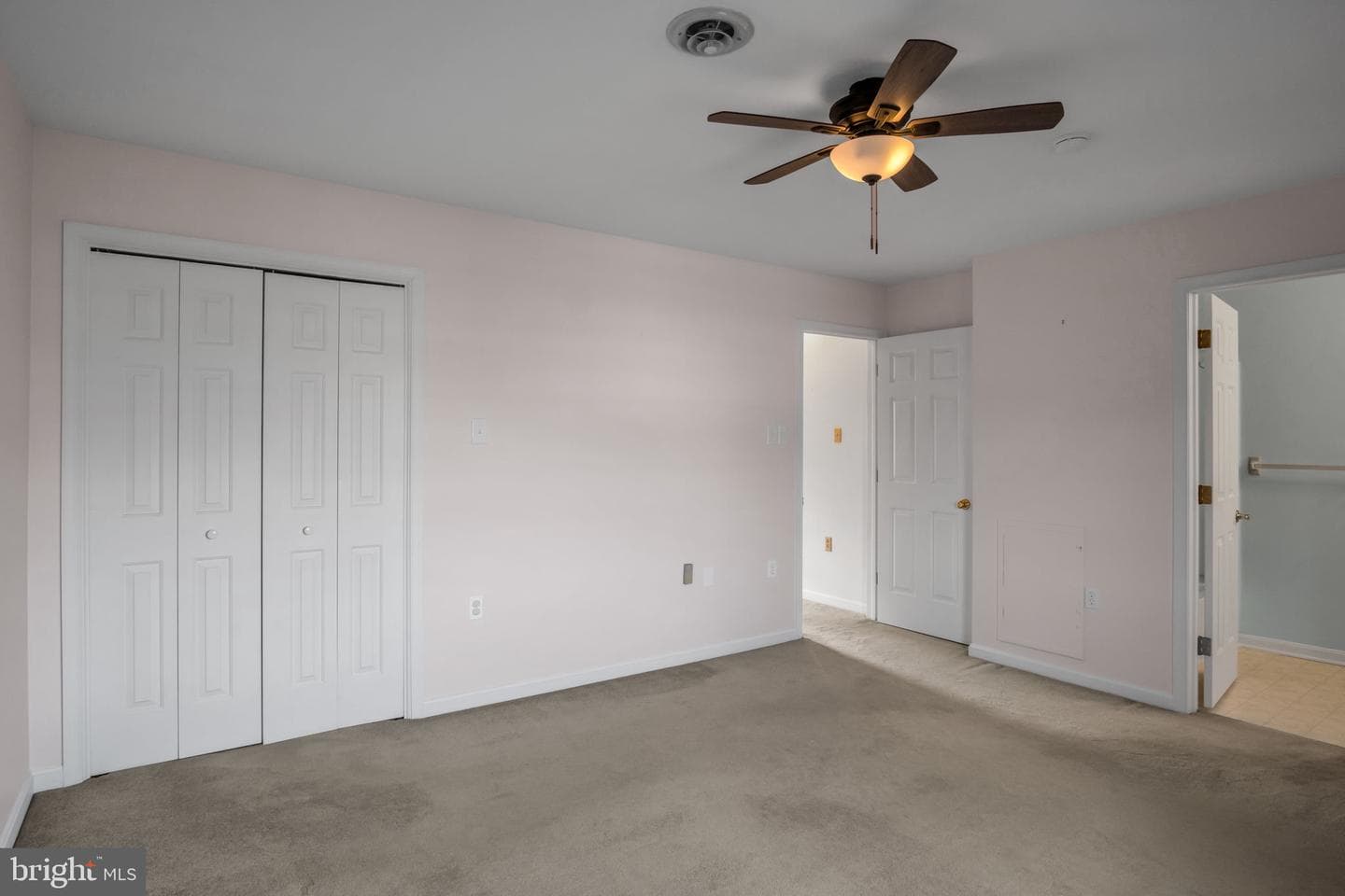 31 Carter Place photo 22