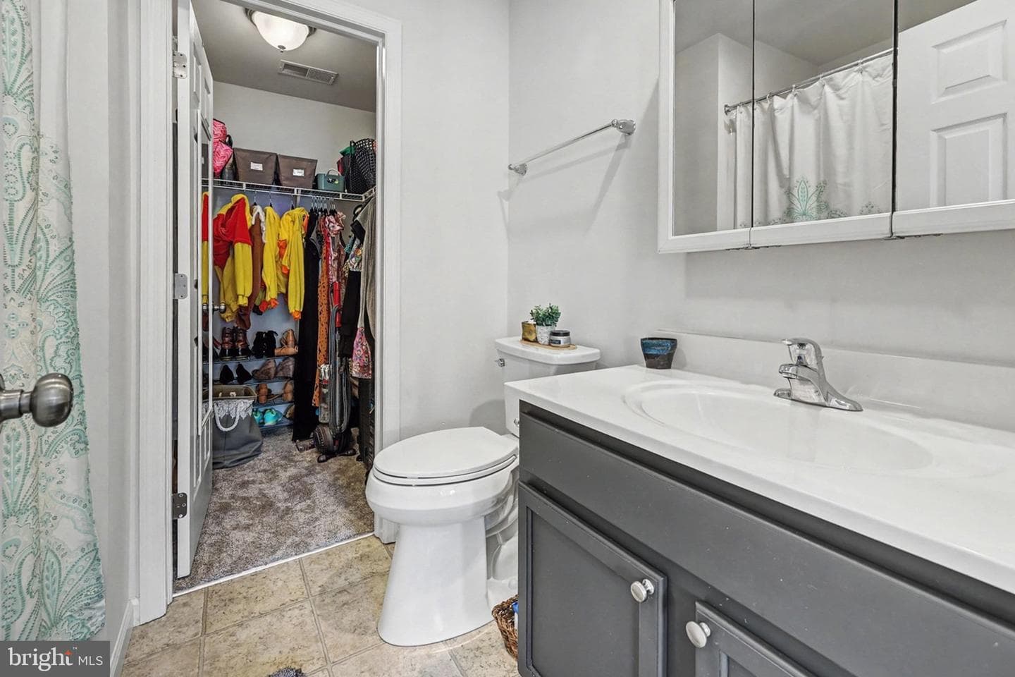 3009 E Meridian Cmns photo 19
