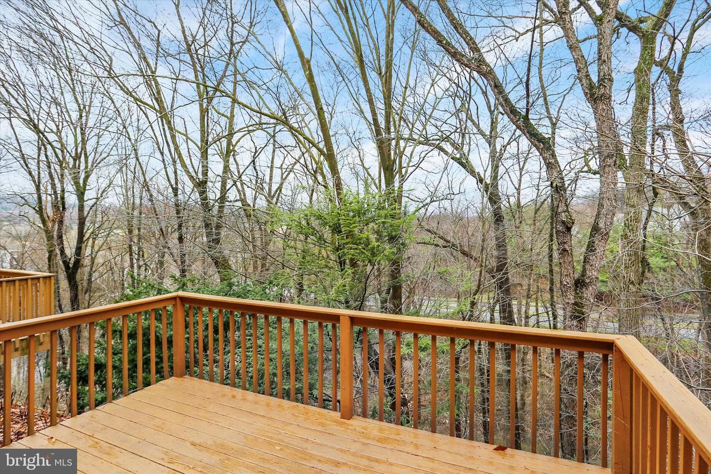 1442 Maplewood Drive photo 35