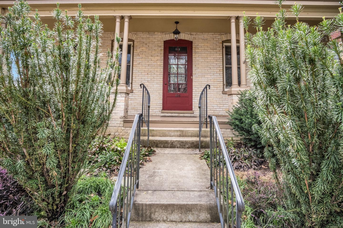 226 Walnut Street photo 3