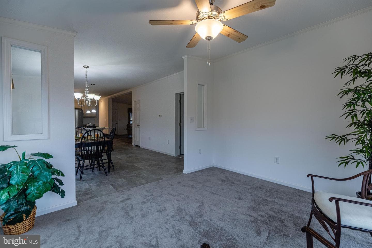 24 Burke Drive photo 35