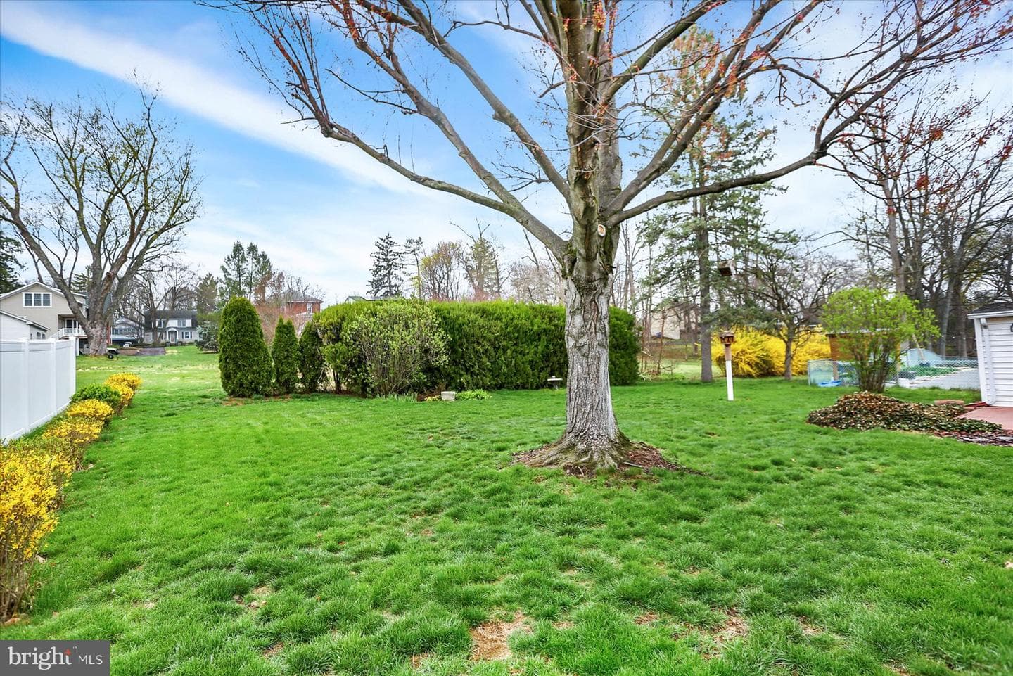 323 Evergreen Street photo 40