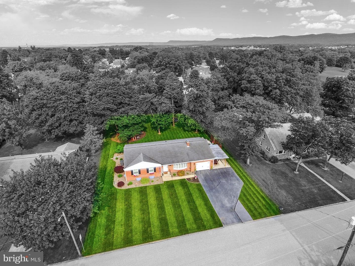 1838 Ridgeview Drive photo 61