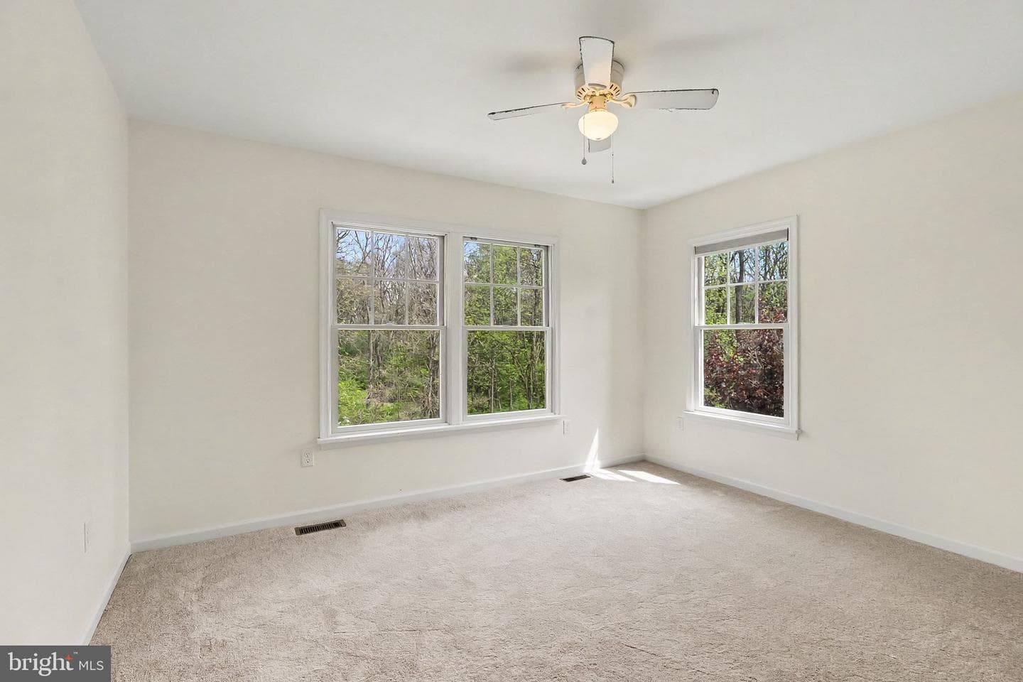 14 Royal Drive photo 20