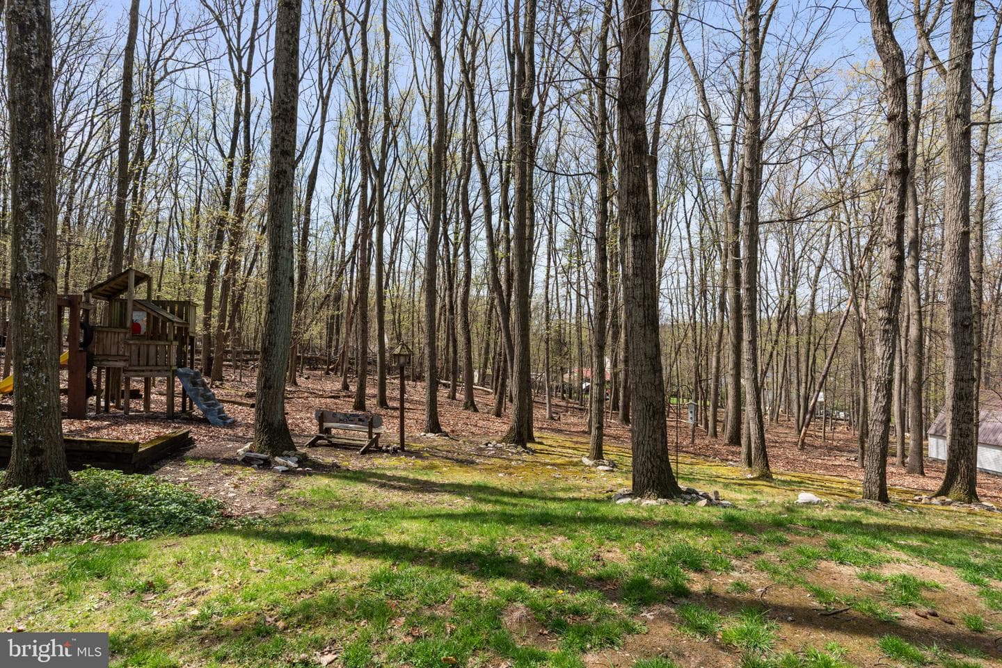 662 Shannon Road photo 8