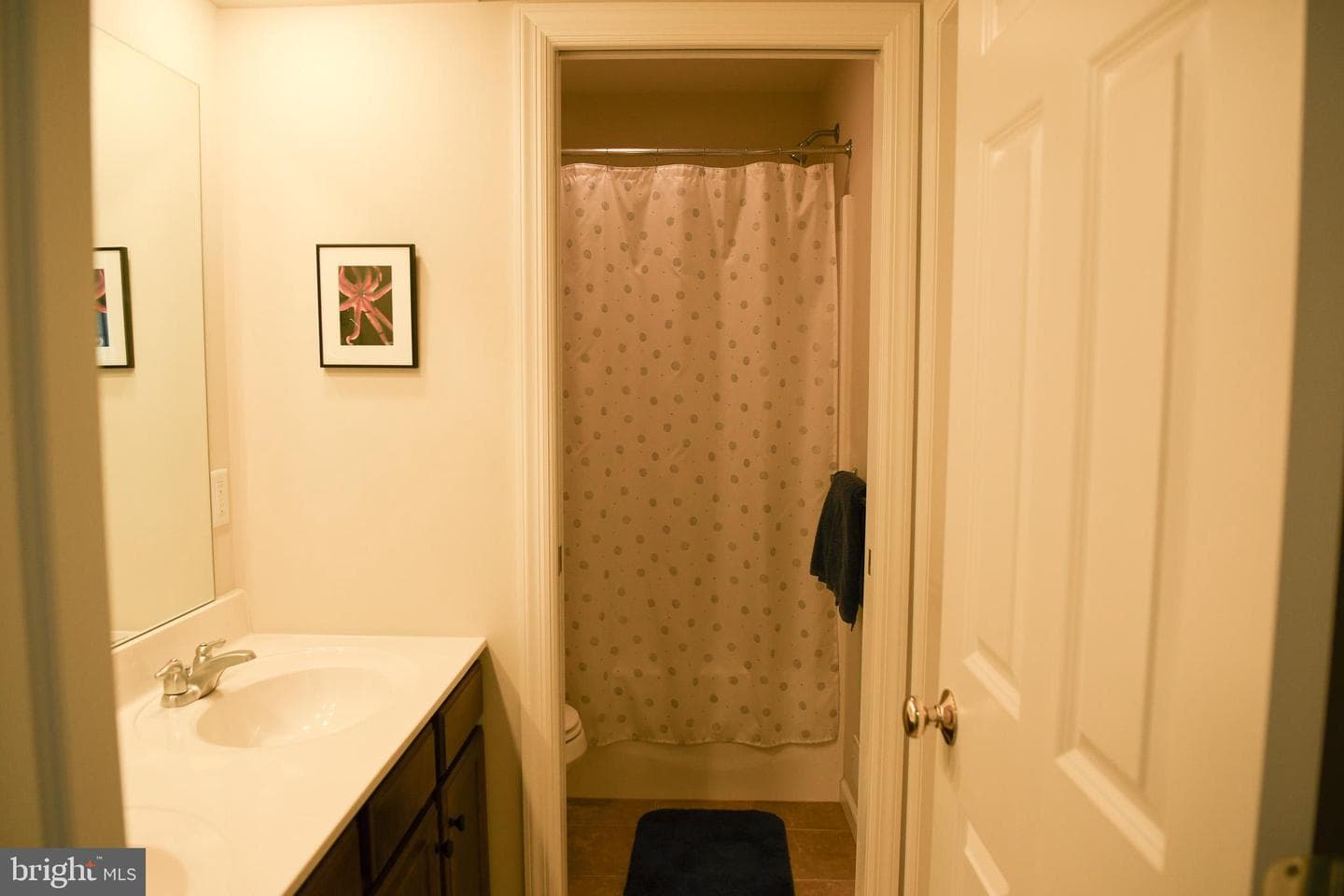 2034 Liberty Drive photo 15
