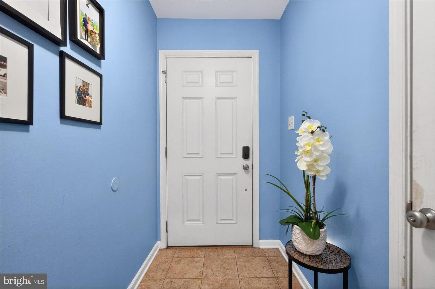 407 Brook Meadow Drive photo 5