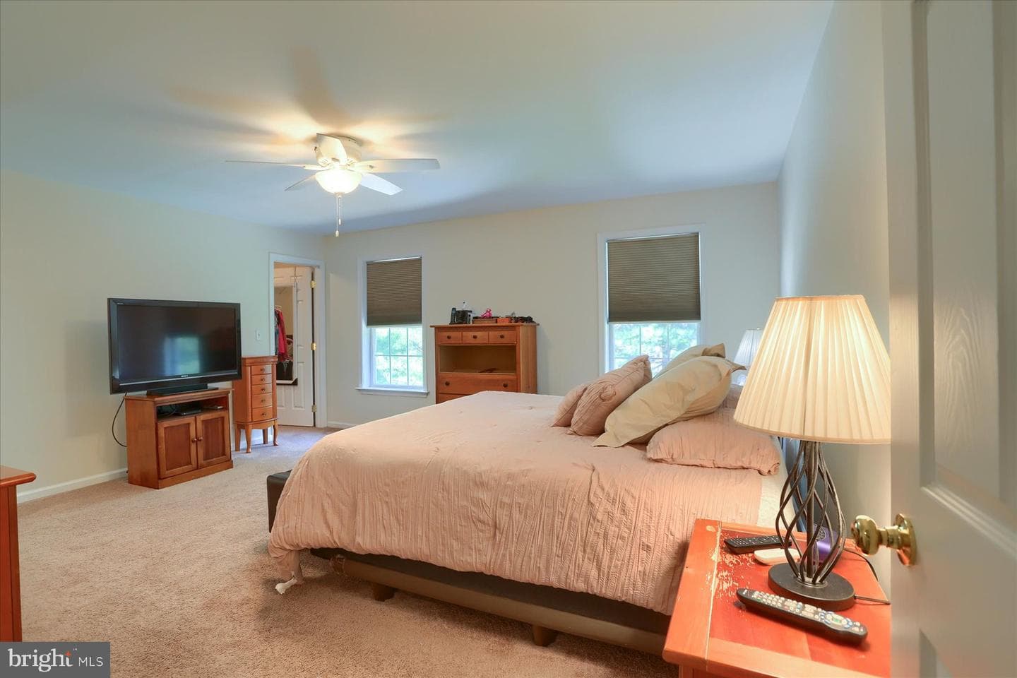 4250 Roth Farm Village Cir photo 19