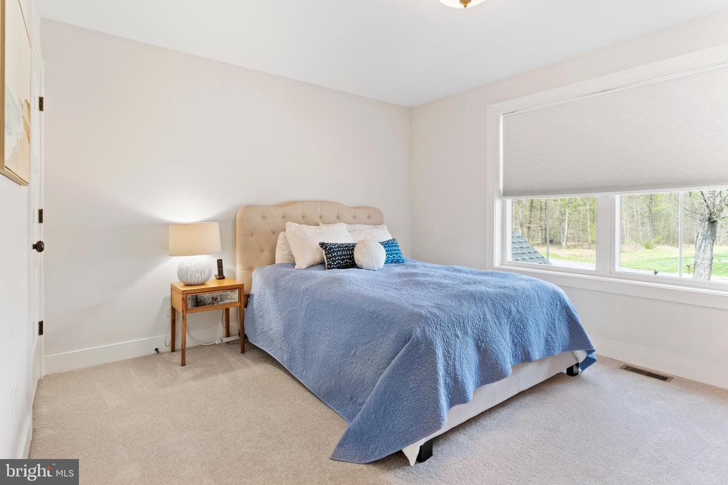 20 Barnitz Woods Drive photo 50