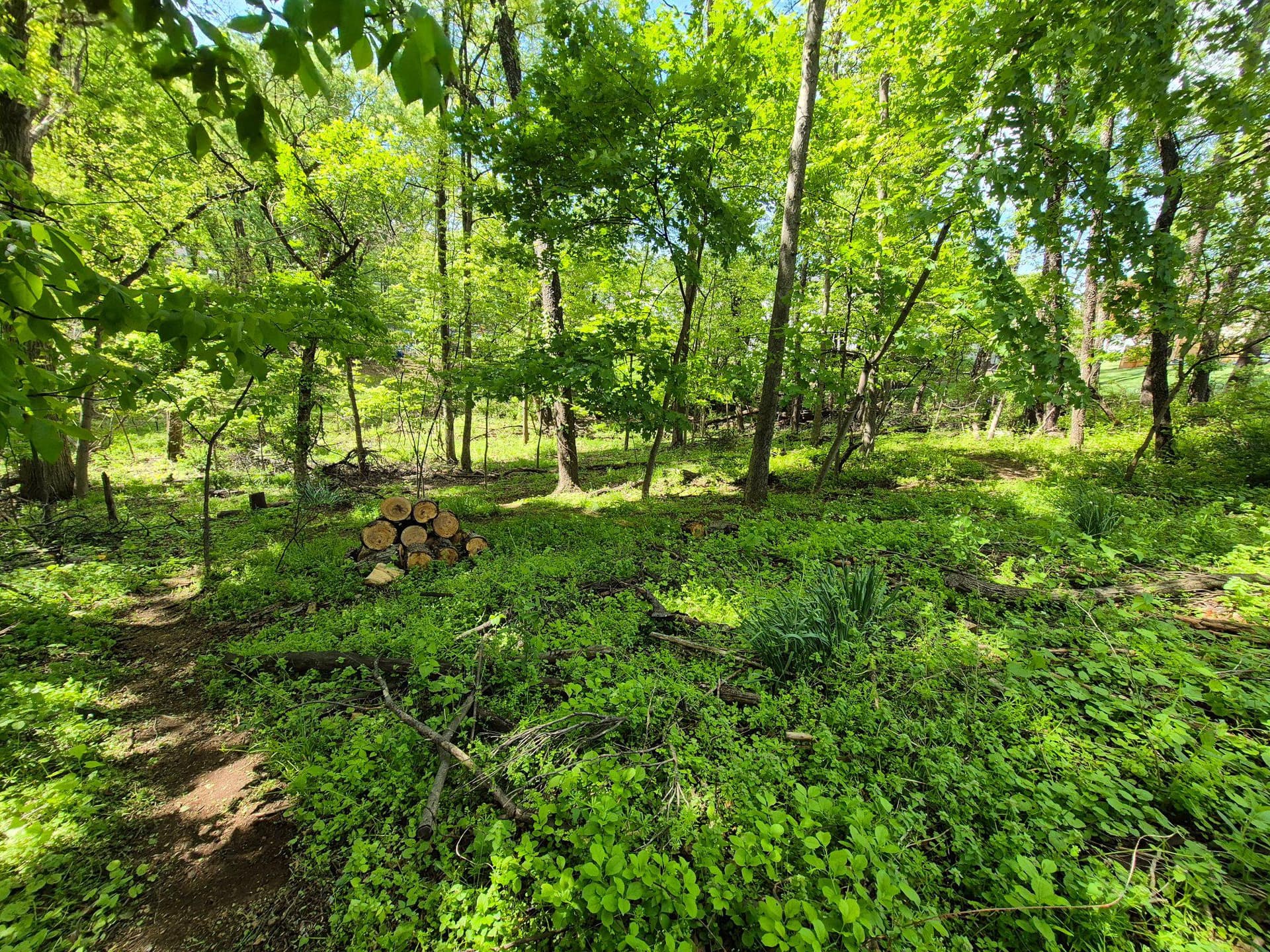 1406 Princeton Road photo 10