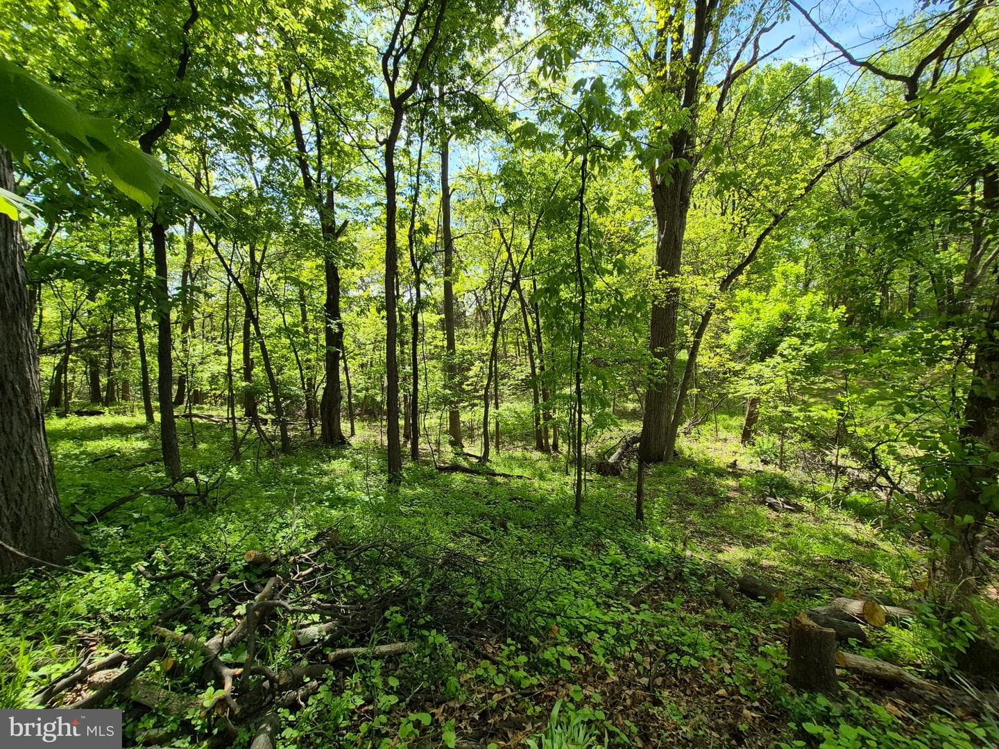 1406 Princeton Road photo 50