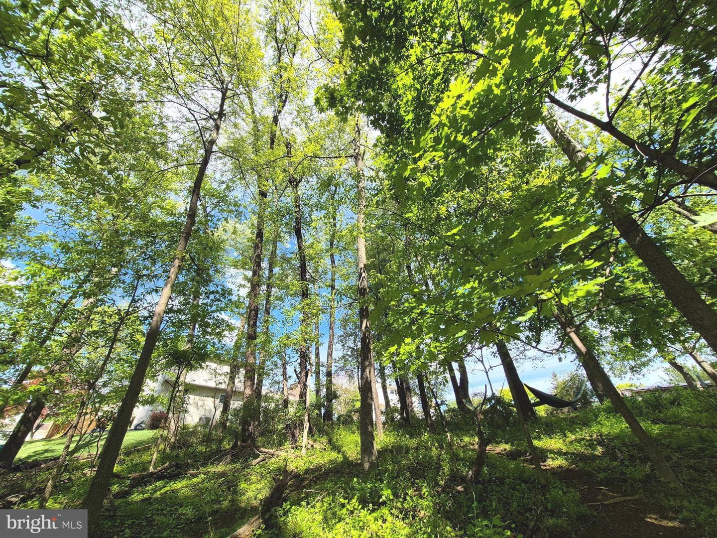 1406 Princeton Road photo 52