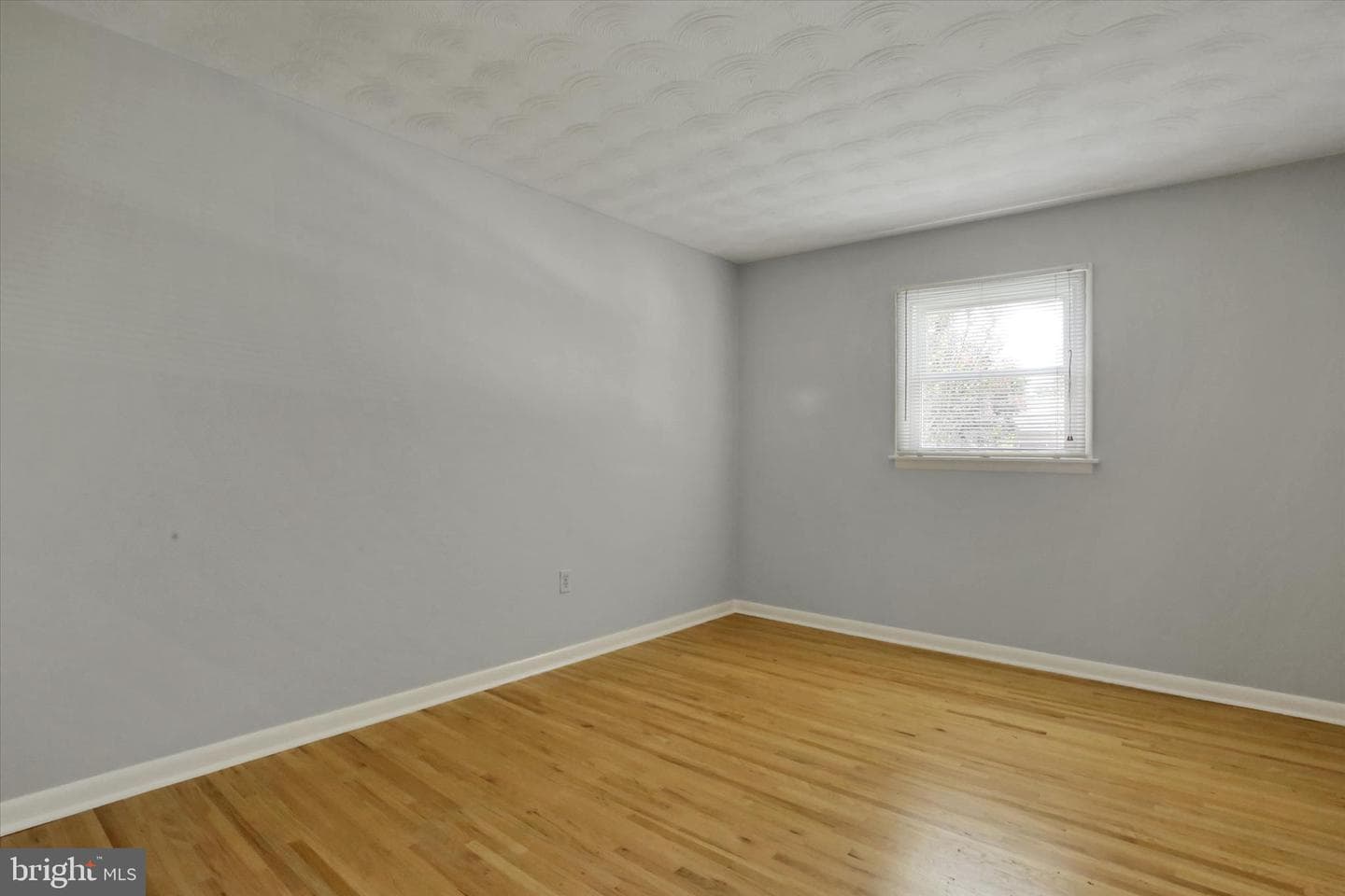 415 Alison Avenue photo 17