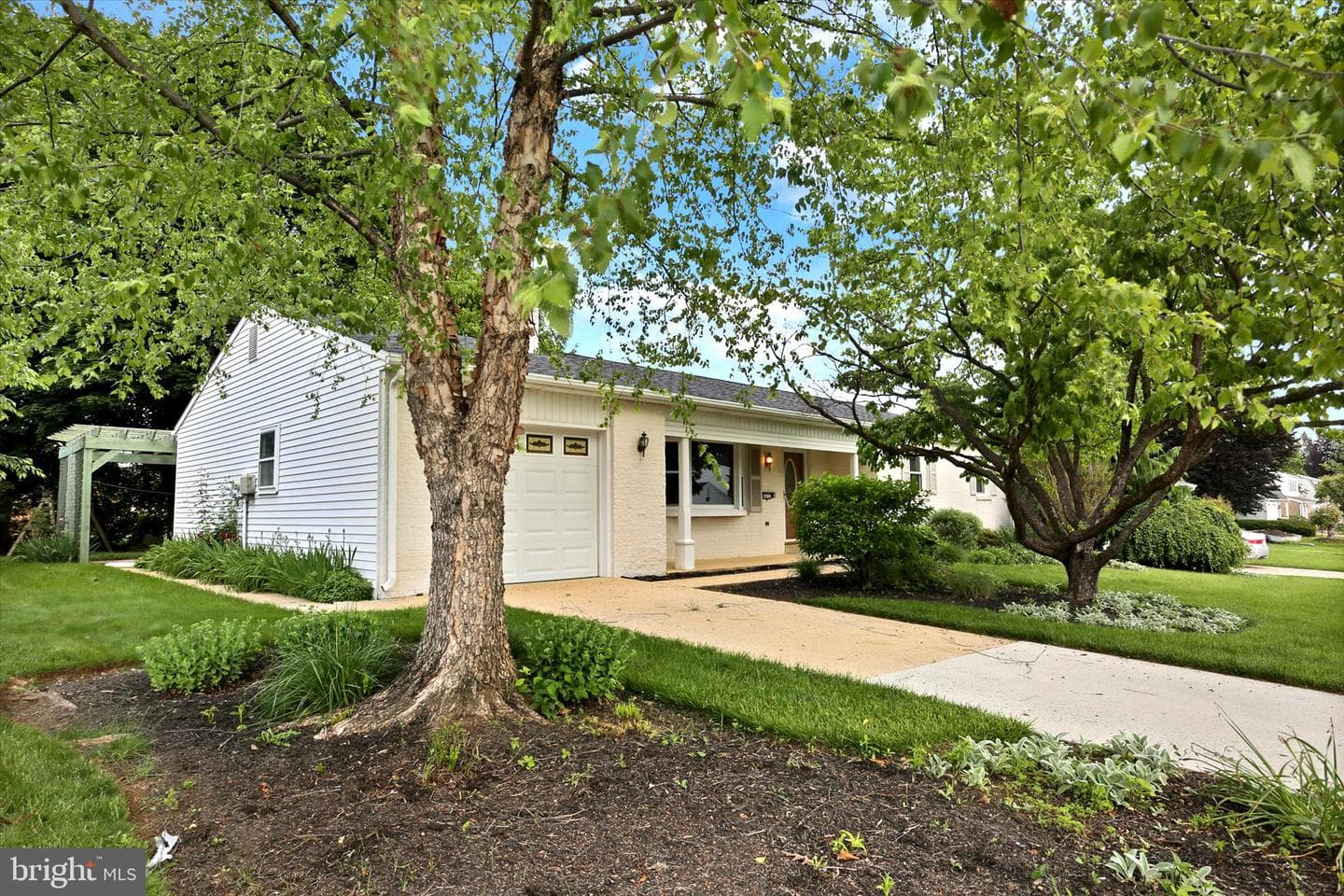 415 Alison Avenue photo 3