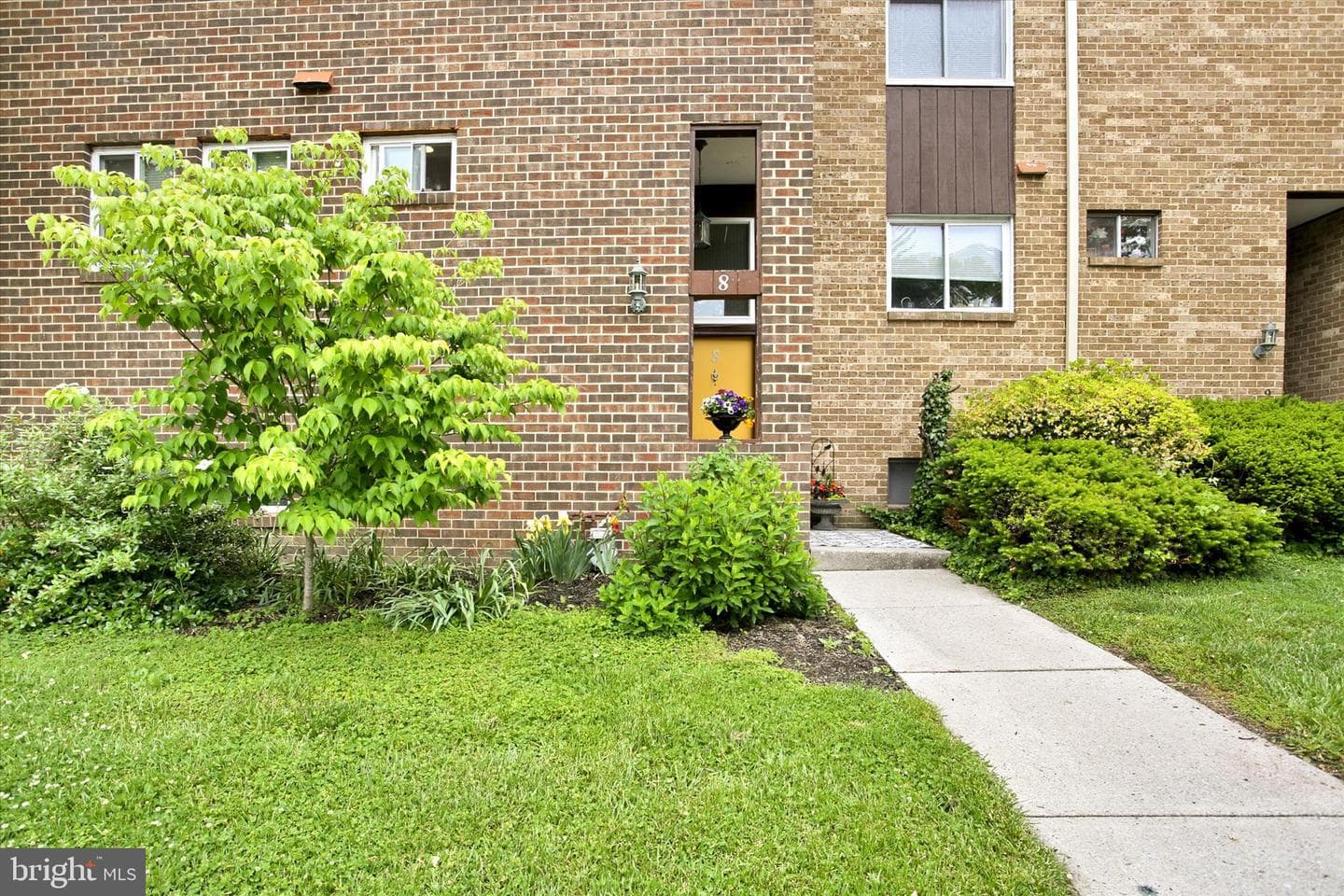 8 Campbell Pl photo 3