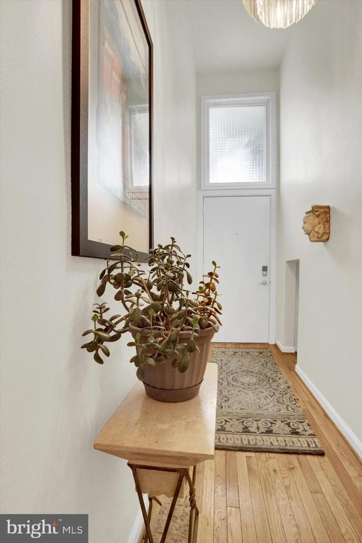 8 Campbell Pl photo 5