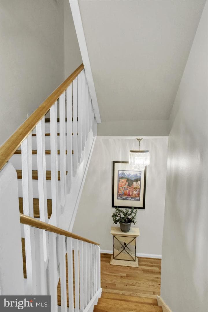 8 Campbell Pl photo 6