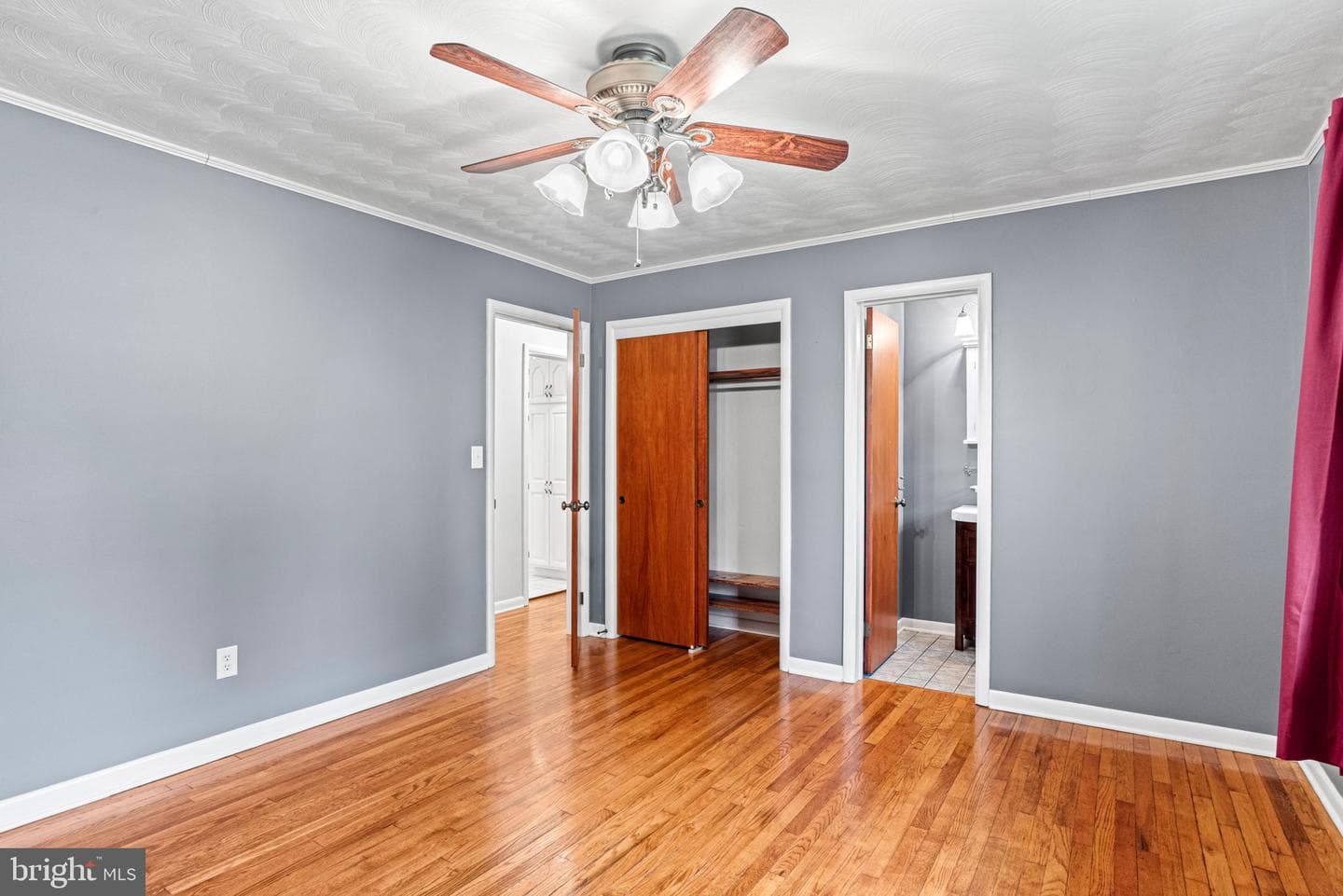 18 Chestnut Street photo 18