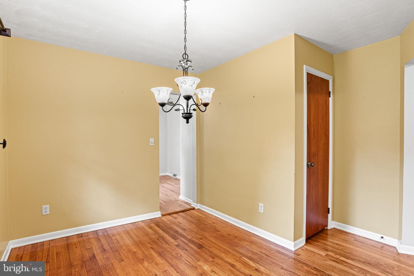 18 Chestnut Street photo 22