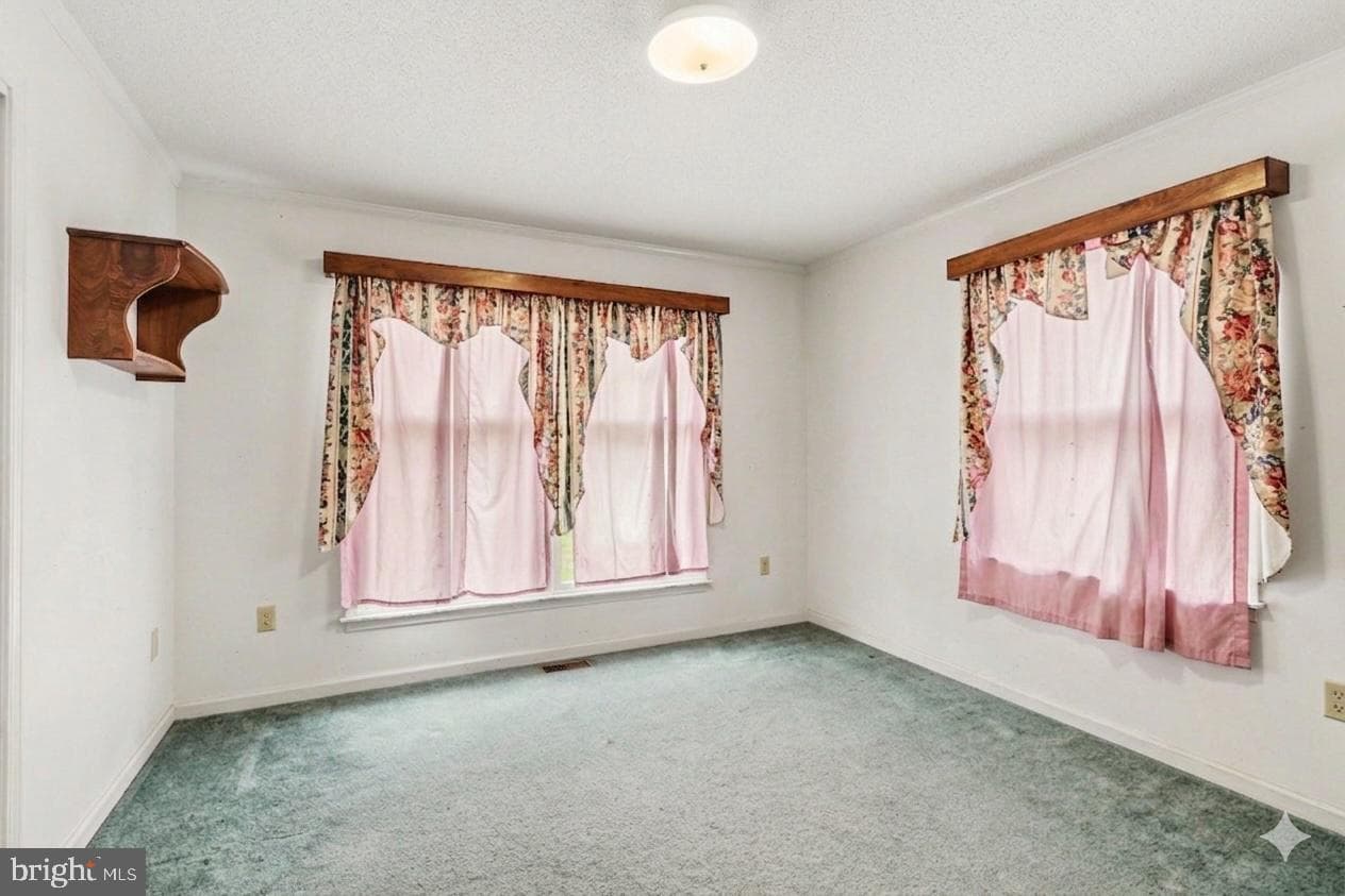 19 Forest Lane photo 10